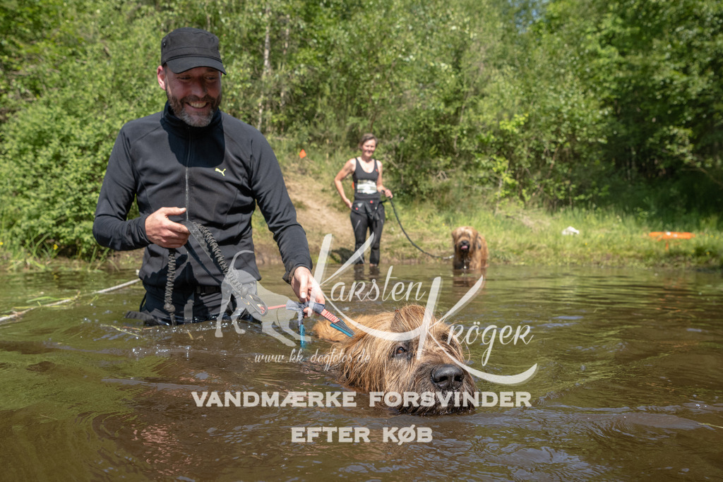1049DKK991539 | kk-dogfotos