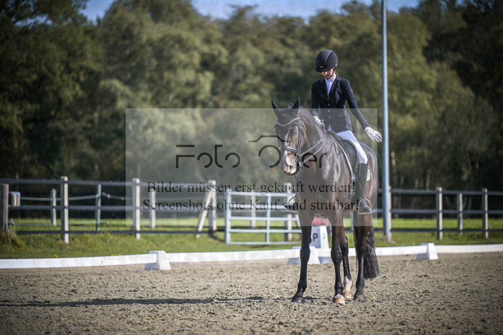 DOS_1786 | Entdecke hochwertige Reitturnierfotos von Foto Oger. Professionell, emotional und authentisch – jetzt Lieblingsmomente im Shop bestellen.Deutschlandweite Turnierfotografie. - Realisiert mit Pictrs.com