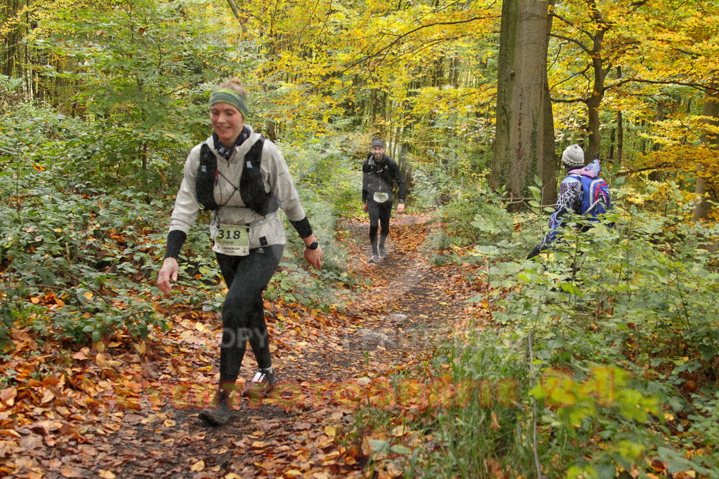 251026_1303_EV4_6448 | Sportfotografie im Rhein-Sieg Kreis, Köln, Bonn, NRW, Rheinland Pfalz, Hessen, etc. Unser Tätigkeitsfeld umfasst den Laufsport vom Volkslauf über den Marathon, Duathlon, Triathon bis zum Ultralauf wie Kölnpfad Ultra oder Schindertrail.