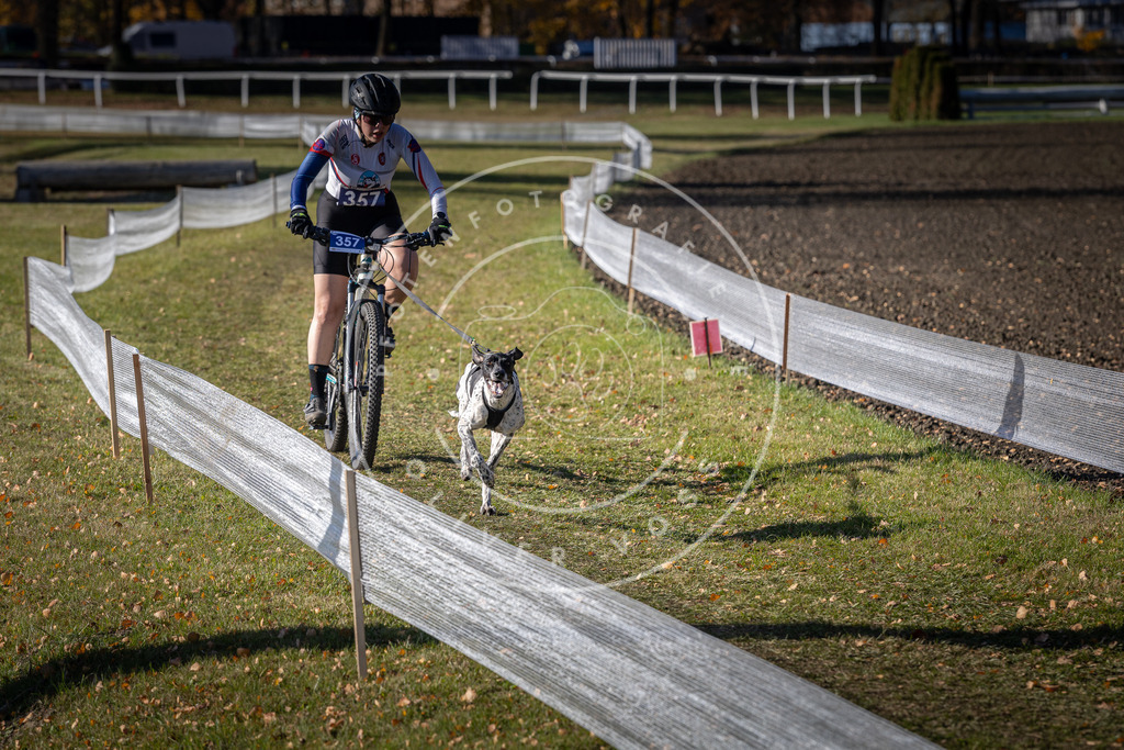 CaniXpix_DV3A7288 | Hundefotografie, Tierfotograf, Pfotenfotografie, Fotoshooting Hund, Hunde Portrait, Hundesport, Hundeportraits, Heideshooting, Hunde, Sportfotograf, Hundefotograf, Turnierhundsport, THS,  - Realisiert mit Pictrs.com