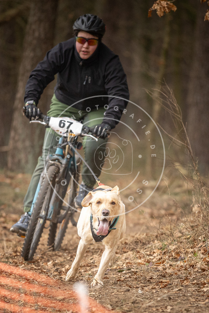 Pfotenfotografie_DV3A3399 | Hundefotografie, Tierfotograf, Pfotenfotografie, Fotoshooting Hund, Hunde Portrait, Hundesport, Hundeportraits, Heideshooting, Hunde, Sportfotograf, Hundefotograf, Turnierhundsport, THS,  - Realisiert mit Pictrs.com