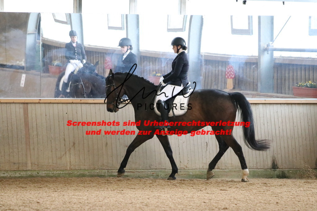 IMG_6476 | lmwpictures - Realisiert mit Pictrs.com