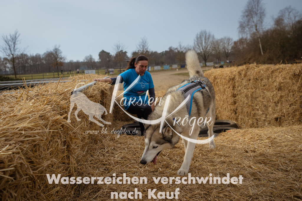 1134_ZZ94679 | kk-dogfotos
