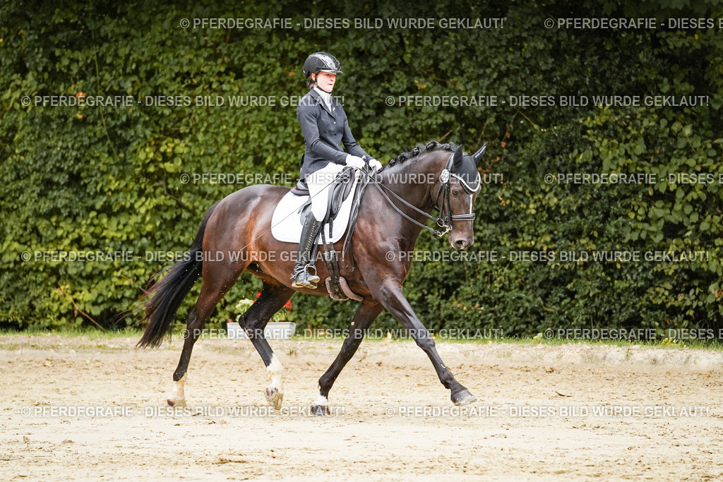 DSC03887 | Pferdegrafie