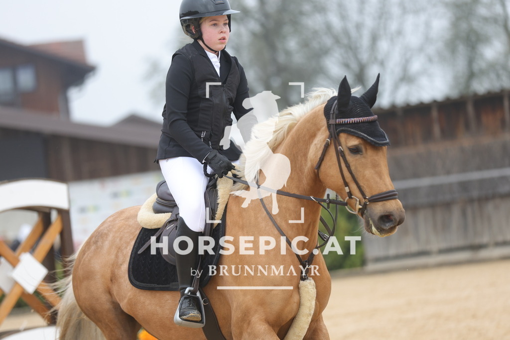 0P6A8471 | Willkommen bei Brunnmayr - Design & Fotografie – Ihrem Spezialisten für Reitturniere und Pferdeveranstaltungen in Oberösterreich, Salzburg und Bayern! Seit über 17 Jahren sind wir leidenschaftlich dabei.