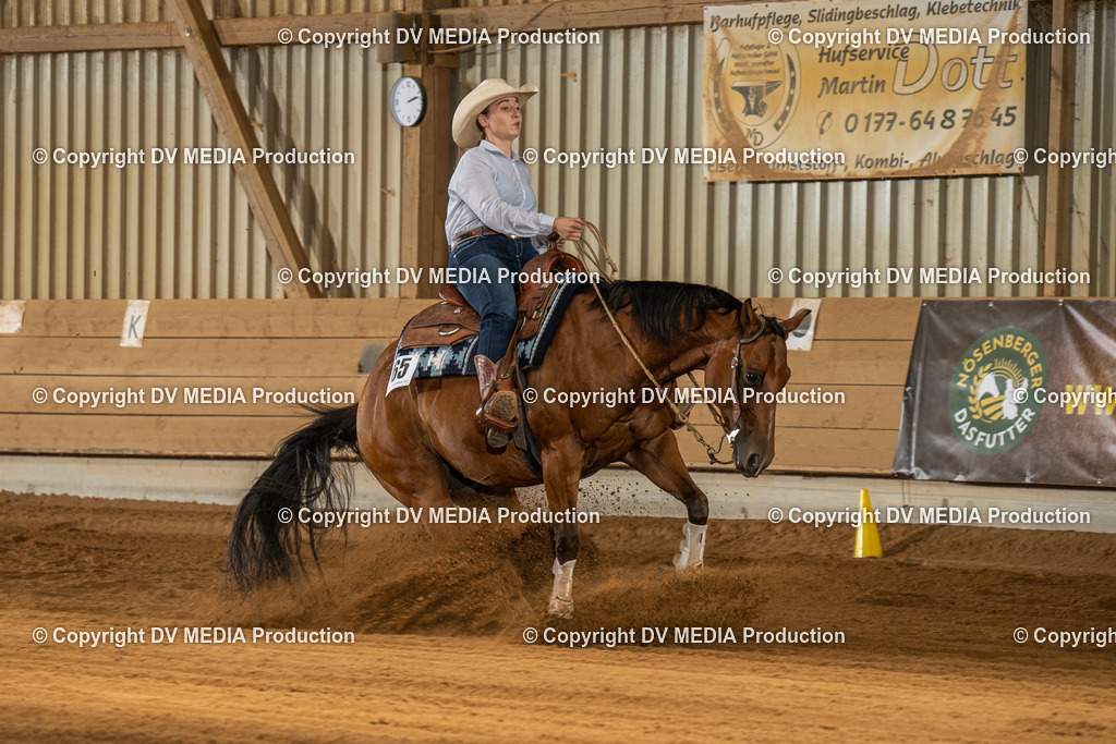 NID01939 | dv-media-shop - Realisiert mit Pictrs.com