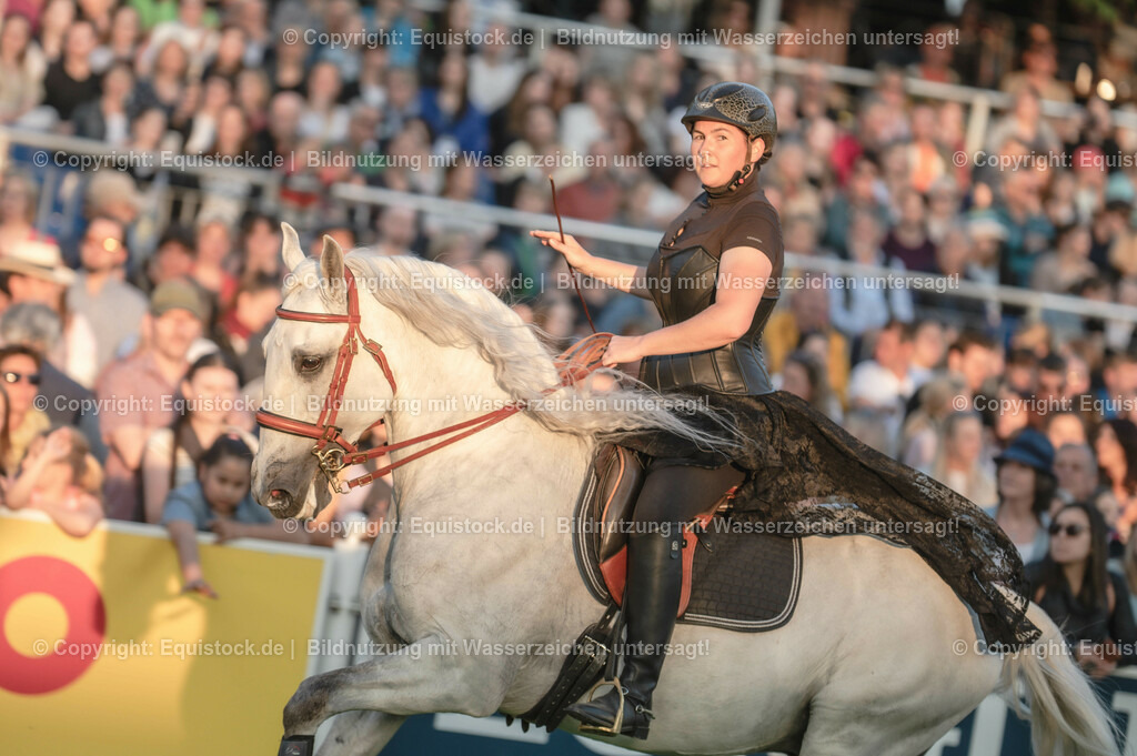 20230526_Pferdenacht_0324 | equistock