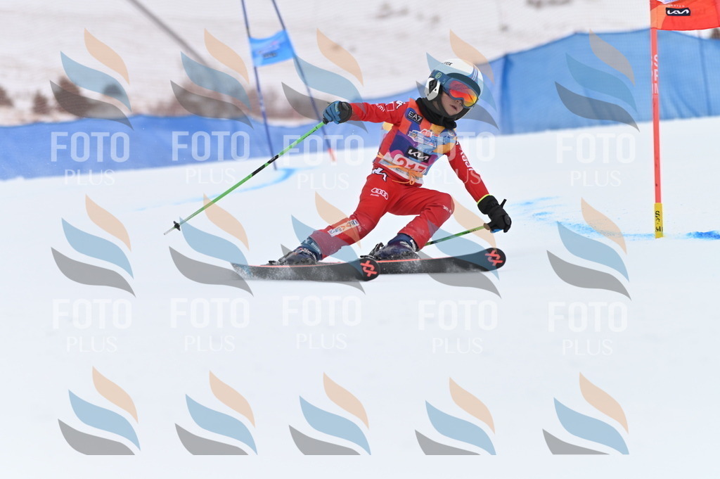 BGV_2861 | holidayphoto