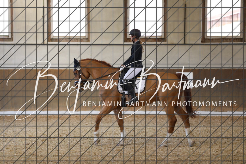 AZ2A8345 | Benjamin Bartmann Photomoments