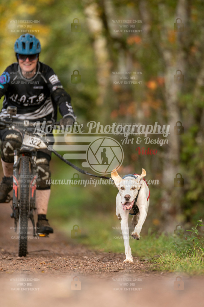 TSB_2023_E4_Bike-53 | PayLife