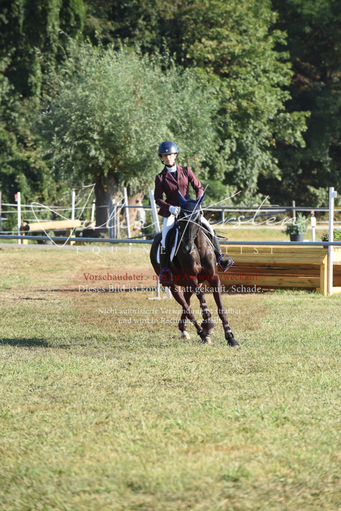 DSC_5081 | Pferde- und Turnierfotografie in Westsachsen. Pferdeportraits, Auftragszeichnungen und intuitive Kunst.