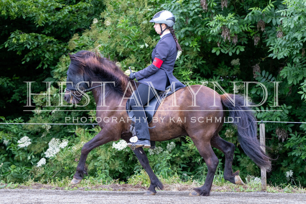 KAI09899 | Ihr sucht einen Fotografen für eure nächste OSI? Ich begleite auch euer Turnier für Islandpferde fotografisch.  - Realisiert mit Pictrs.com