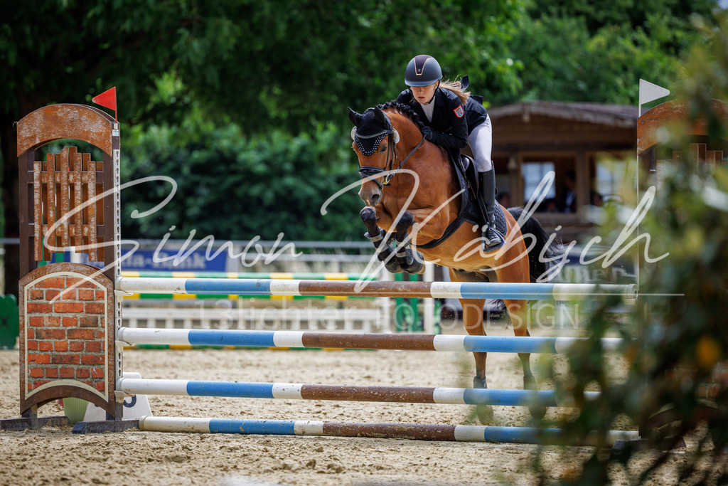 20260705-_3LI5488 | Tierfotografie Pferde, Hunde, Katzen, Haustiere.
Turnierfotografie Reitturniere, Reiten, Springreiten, Dressur in Hanau, dem Main-Kinzig-Kreis und dem Rhein-Main- Gebiet um Frankfurt