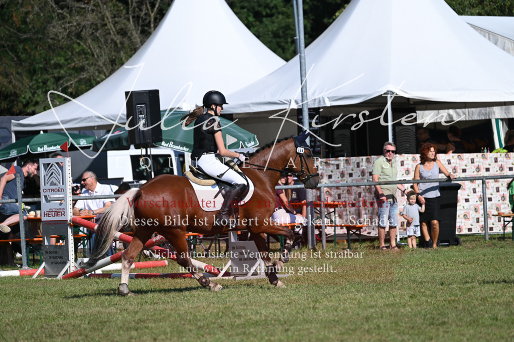 DSC_5350 | Pferde- und Turnierfotografie in Westsachsen. Pferdeportraits, Auftragszeichnungen und intuitive Kunst.