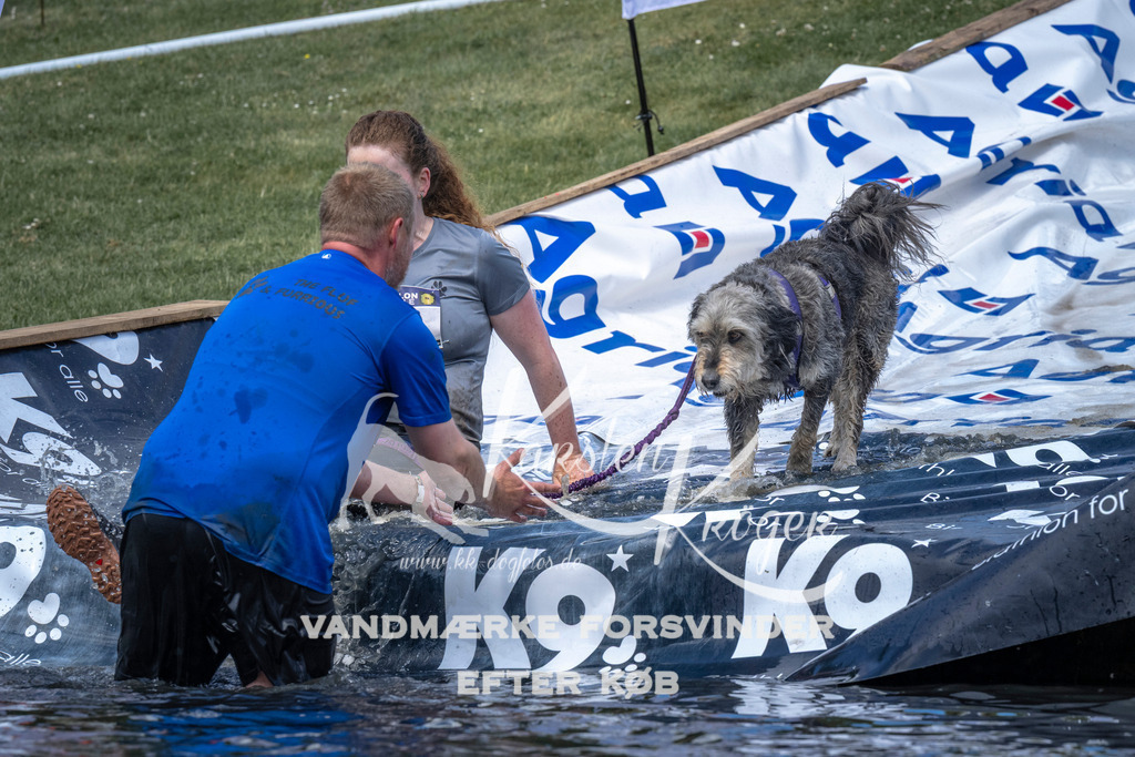 1102_ZZ90473 | kk-dogfotos