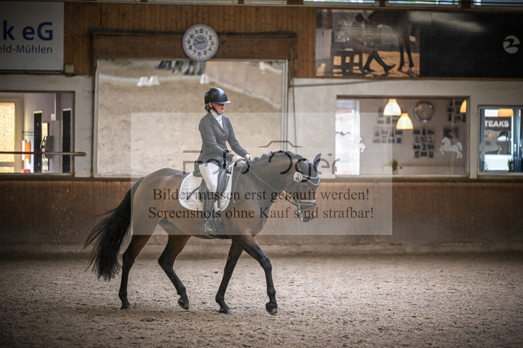 DOS_1105 | Entdecke hochwertige Reitturnierfotos von Foto Oger. Professionell, emotional und authentisch – jetzt Lieblingsmomente im Shop bestellen.Deutschlandweite Turnierfotografie. - Realisiert mit Pictrs.com