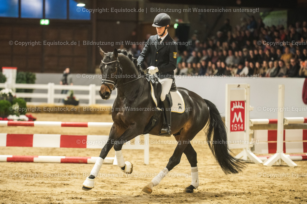 20240302_Hengstvorstellung_Marbach_TOMsPiC_0414 | equistock