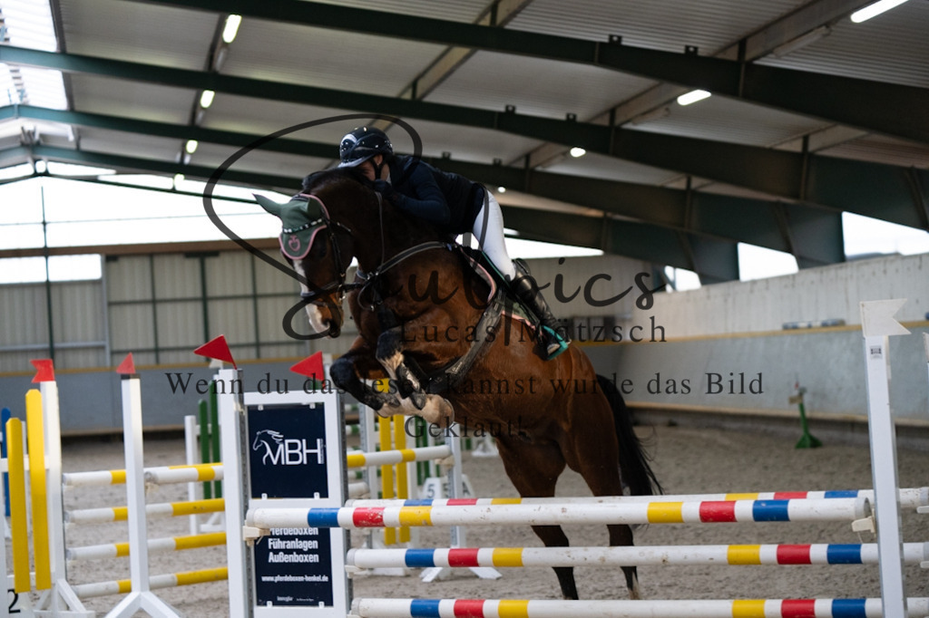 A7V02769 | Pferdefotograf