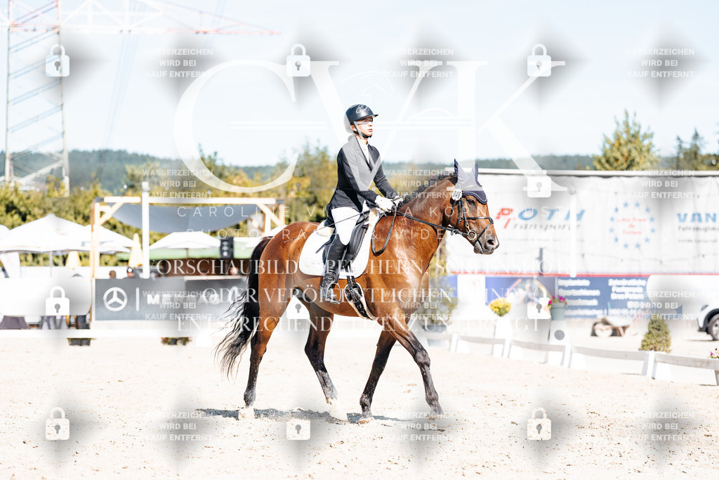 CK908723 | Turnierfotografie Pferdefotografie Trier Rheinland-Pfalz Pferdesport Reitsport Tierfotografie Sportfotografie Pferdevideo Pferdevideografie Equestrianvideography equestrianphotography  - Realisiert mit Pictrs.com