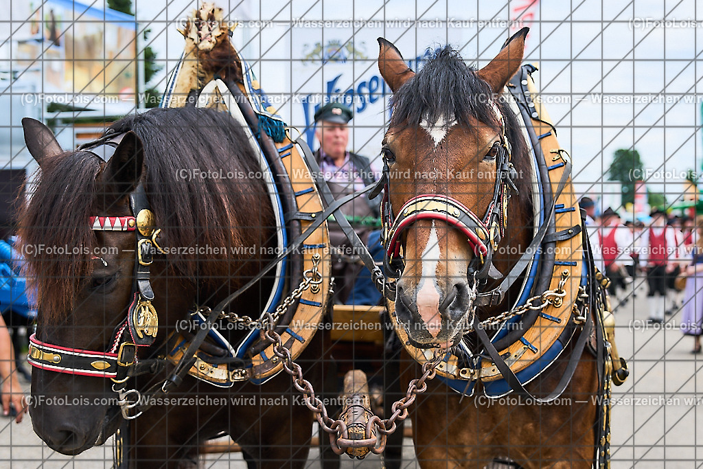 ALP9259_MESSE_LAND-FORST-JAGD_Wieselburger Bierwagen | (C)FotoLois.com, Alois Spandl, WIESELBURGER MESSE LAND-FORST-JAGD, Eröffnung mit Messerundgang mit BM Norbert Totschnig, LH Johanna Mickl-Leitner, LH-Stv. Stephan Pernkopf, LLK Johannes Schmuckenschlager, GF Marion Heim, Hannes Heindl, Bgm. Josef Leitner, Bgm. Franz Rafetseder, ..., Do 6. Juni 2024.