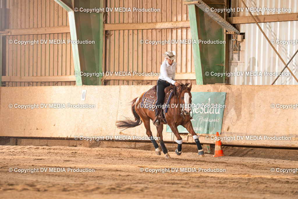 Balingen Tag 2-1301 | dv-media-shop - Realisiert mit Pictrs.com