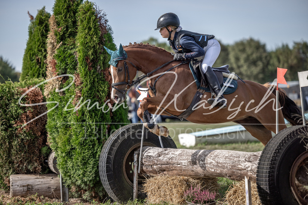 20250907-_3LI9591 | Tierfotografie Pferde, Hunde, Katzen, Haustiere.
Turnierfotografie Reitturniere, Reiten, Springreiten, Dressur in Hanau, dem Main-Kinzig-Kreis und dem Rhein-Main- Gebiet um Frankfurt
