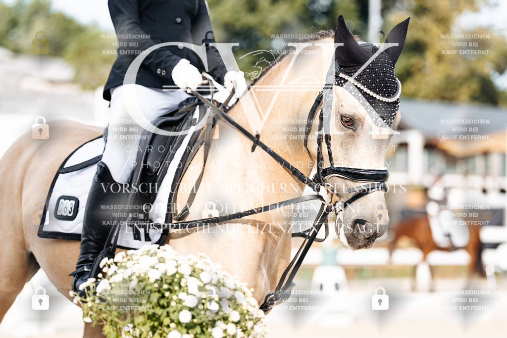 CK904135 | Turnierfotografie Pferdefotografie Trier Rheinland-Pfalz Pferdesport Reitsport Tierfotografie Sportfotografie Pferdevideo Pferdevideografie Equestrianvideography equestrianphotography  - Realisiert mit Pictrs.com