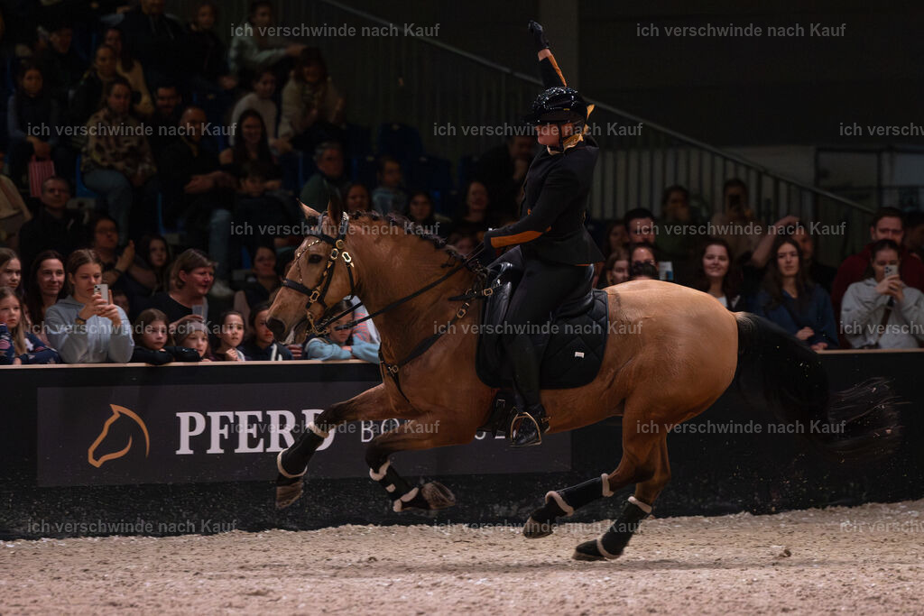 JoseraCup-231 | working equitationturnier fotograf videograf stoibphotography marixx film working equitation deutschland reitsport turnierfotografie eventfotografie equestrian events