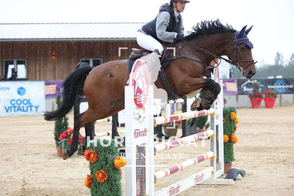 0P6A9258 | Willkommen bei Brunnmayr - Design & Fotografie – Ihrem Spezialisten für Reitturniere und Pferdeveranstaltungen in Oberösterreich, Salzburg und Bayern! Seit über 17 Jahren sind wir leidenschaftlich dabei.