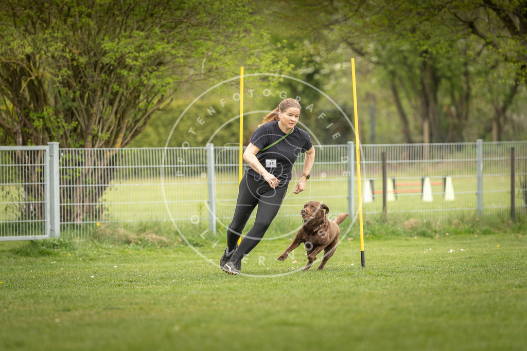 Pfotenfotografie_DV3A9366 | Hundefotografie, Tierfotograf, Pfotenfotografie, Fotoshooting Hund, Hunde Portrait, Hundesport, Hundeportraits, Heideshooting, Hunde, Sportfotograf, Hundefotograf, Turnierhundsport, THS,  - Realisiert mit Pictrs.com
