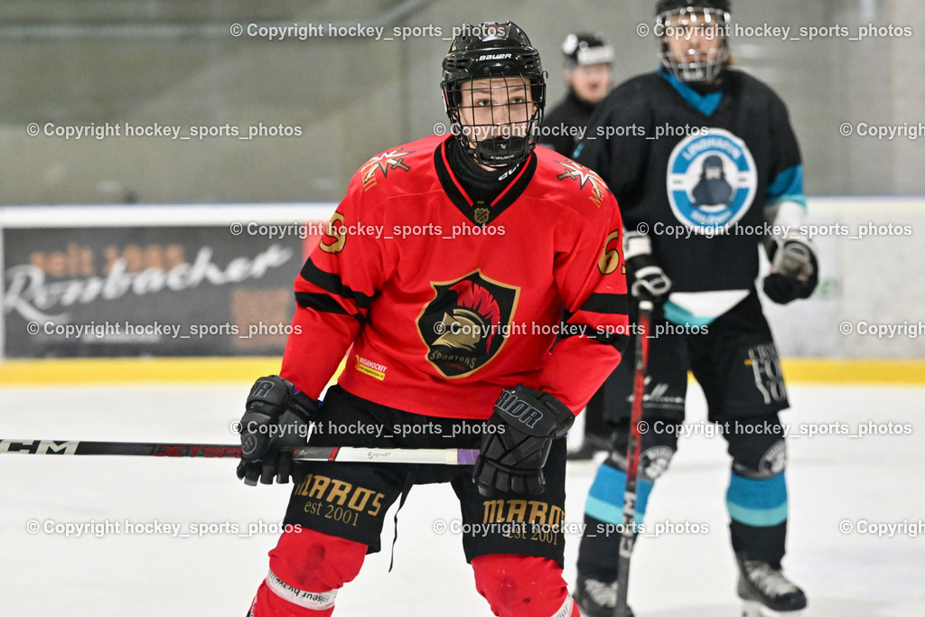Lendhafen Seelöwen vs. Spartans Althofen | #69 Köck Jakob Spartans Althofen, Lendhafen Seelöwen vs. Spartans Althofen, Lendhafen Seelöwen vs. Spartans Althofen am 14.02.2025 in Ferlach (HTC Eishalle Ferlach), Austria, (Photo by Bernd Stefan)