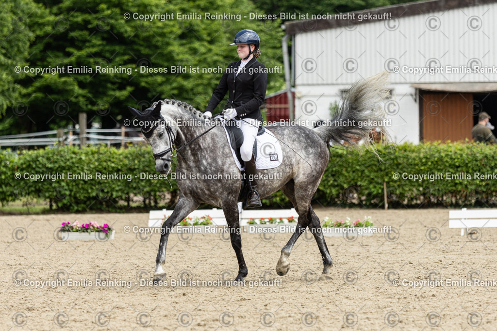 CL5A2342 | Emilia Reinking Fotografie - Realisiert mit Pictrs.com