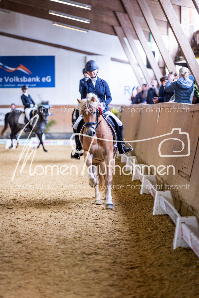 Sth-A-Dre-2St-250 | MomenTaufnahmen Pferdesportfotos