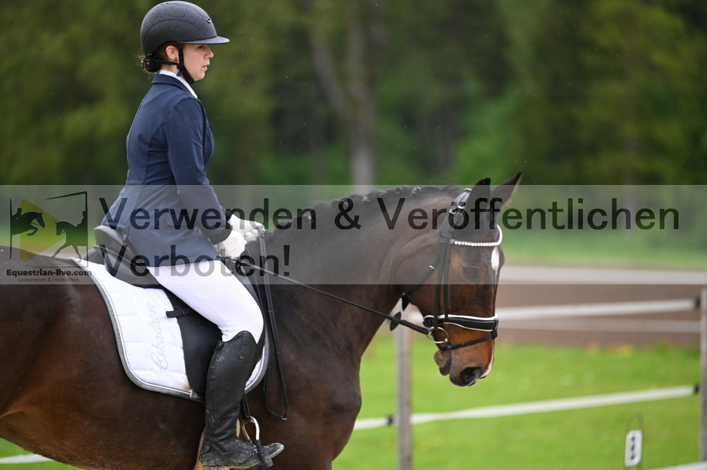 DSC_0261 | equestrian-live-com
