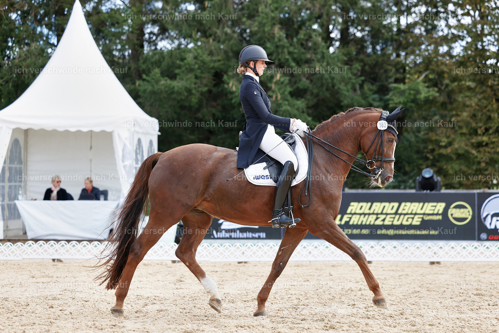 6-163-AMATUER-DRESSUR S_  -StoibPH-3469 | working equitationturnier fotograf videograf stoibphotography marixx film working equitation deutschland reitsport turnierfotografie eventfotografie equestrian events