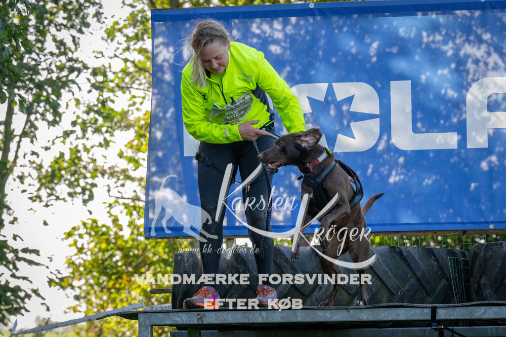 1135-92199 | kk-dogfotos