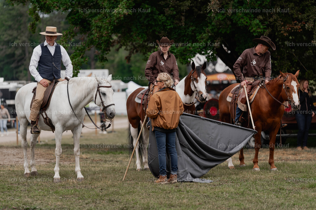 Showprogramm-103 | working equitationturnier fotograf videograf stoibphotography marixx film working equitation deutschland reitsport turnierfotografie eventfotografie equestrian events