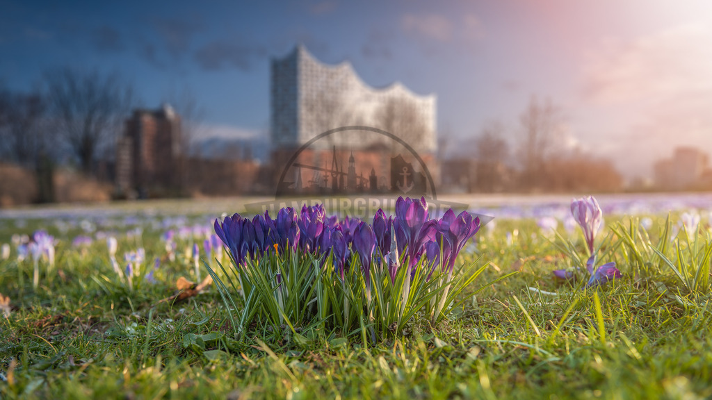 Hamburg-by-stativkunst.de-057 | Exklusive Hamburg collagen, tolle Segelbilder und viele weitere tolle Motive auf Leinwand, Poster, Alu-Dibond, u.v.m. findet Ihr bei uns auf hamburgbild.de. Findet Euer Wandbild für Euer Zuhause, Büro oder die  Praxis…. - Realisiert mit Pictrs.com