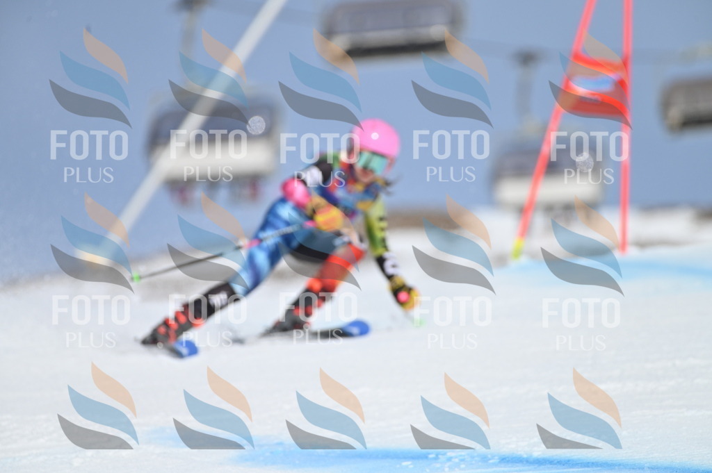 BGV_0024 | holidayphoto