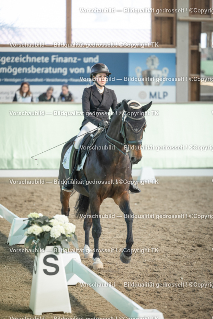 _D5A2795 | Emotionale Pferde- & People-Fotografie rund um Heidelberg, Leimen & Umgebung. Natürliche Fotos von Pferd, Mensch & Familie. Jetzt Termin sichern!