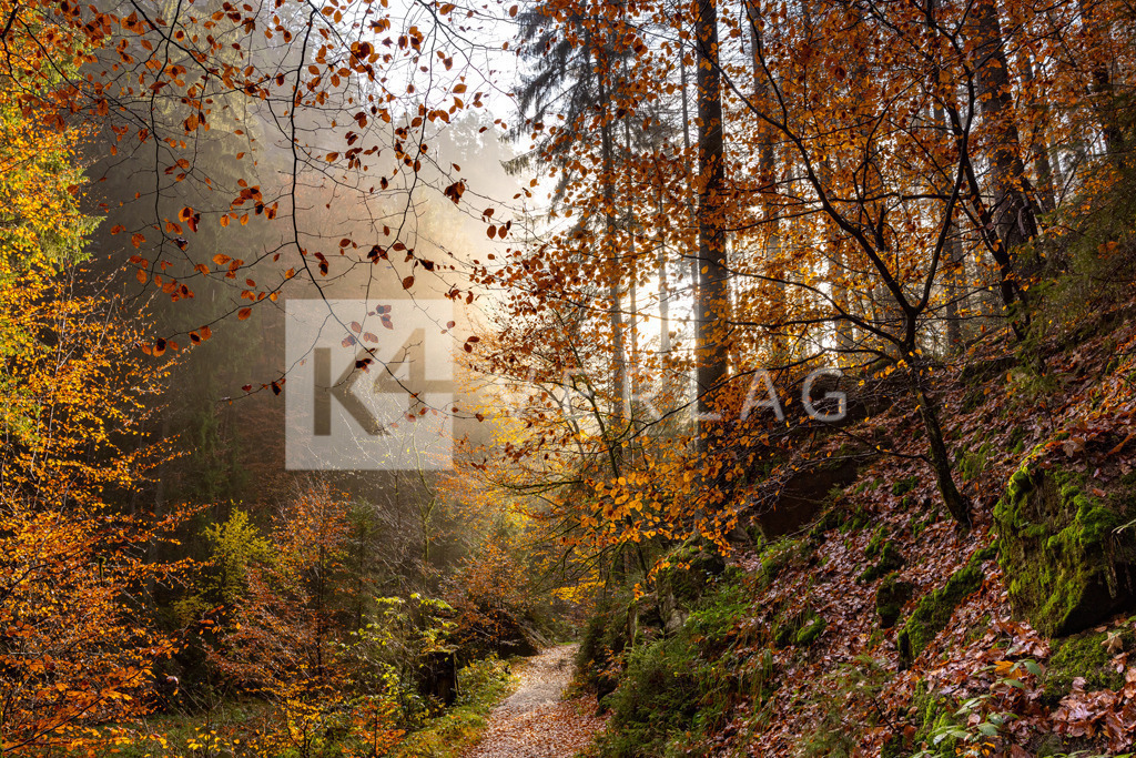 Wandbild-Polenztal-Herbst-0U3A8766 | Buntes Herbstlich im Nebel im romantischen Polenztal - Realisiert mit Pictrs.com