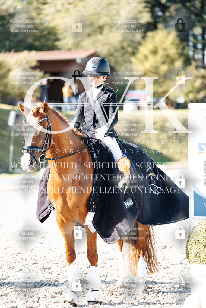 CK908444 | Turnierfotografie Pferdefotografie Trier Rheinland-Pfalz Pferdesport Reitsport Tierfotografie Sportfotografie Pferdevideo Pferdevideografie Equestrianvideography equestrianphotography  - Realisiert mit Pictrs.com