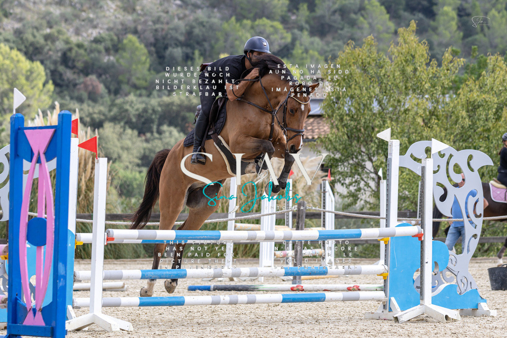 IMG_2815 | s-jay-photography - Realisiert mit Pictrs.com