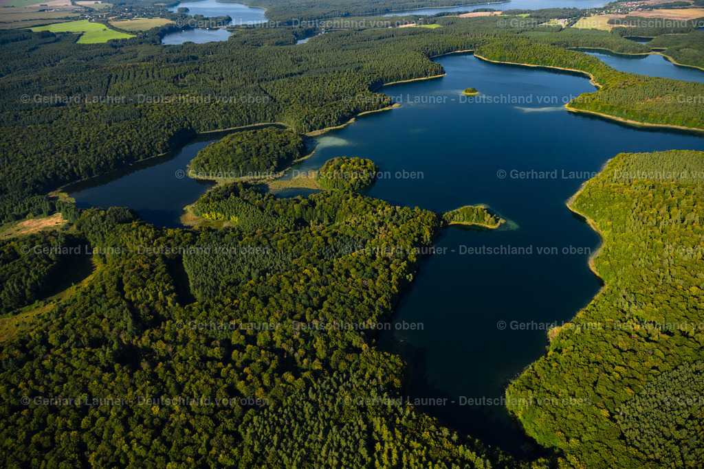 4062363 | HEIMLAND 08.09.2021 Waldgebiete am Ufer des See Großer Wummesee in Heimland im Bundesland Brandenburg. // Forests on the shores of Lake Grosser Wummesee in Heimland in the state Brandenburg. Foto: Gerhard Launer