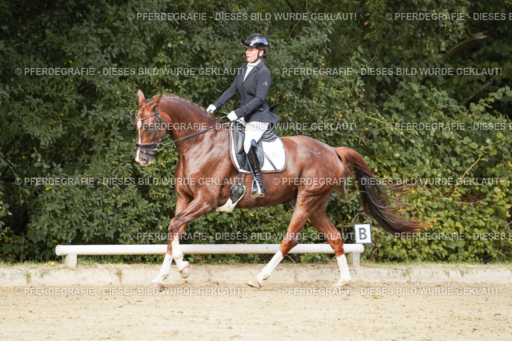 DSC02766 | Pferdegrafie