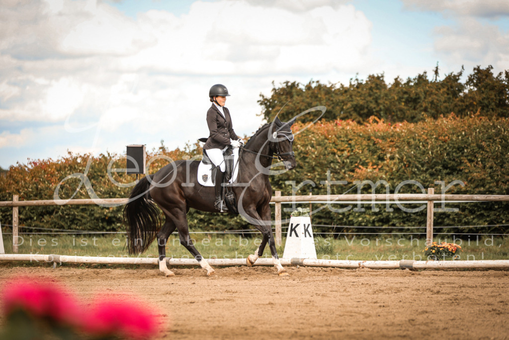 15.SaDrL00194 | Leoni Ertmer Photography - Realisiert mit Pictrs.com