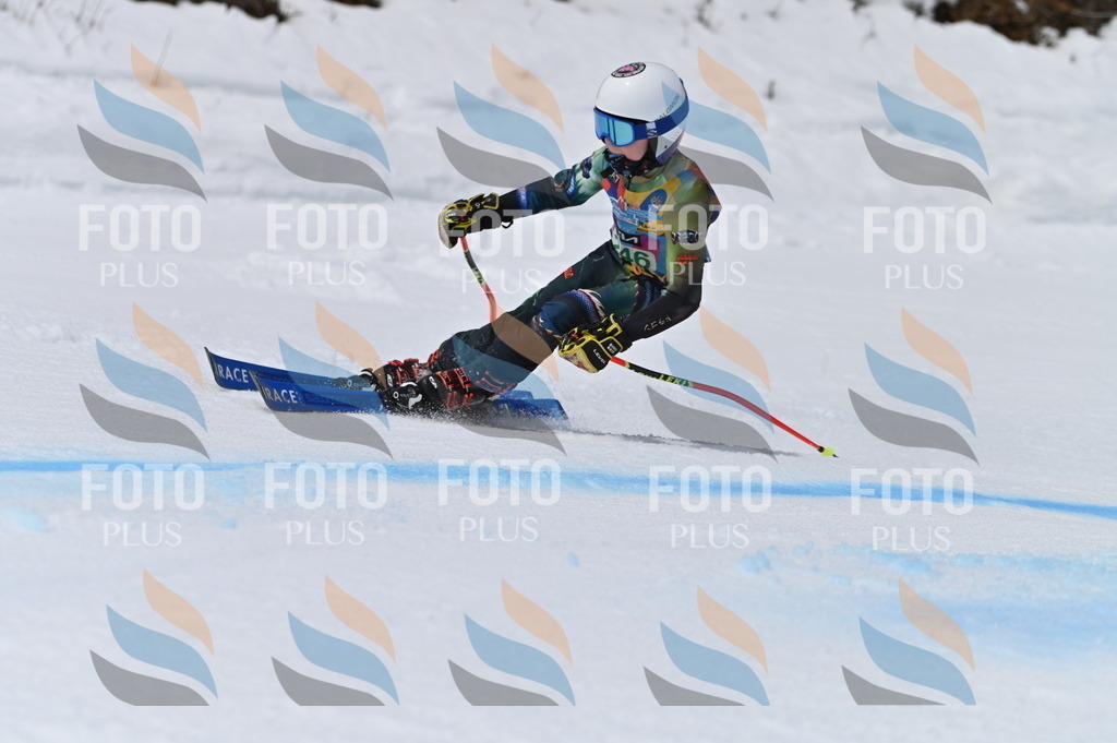 BGV_4880 | holidayphoto