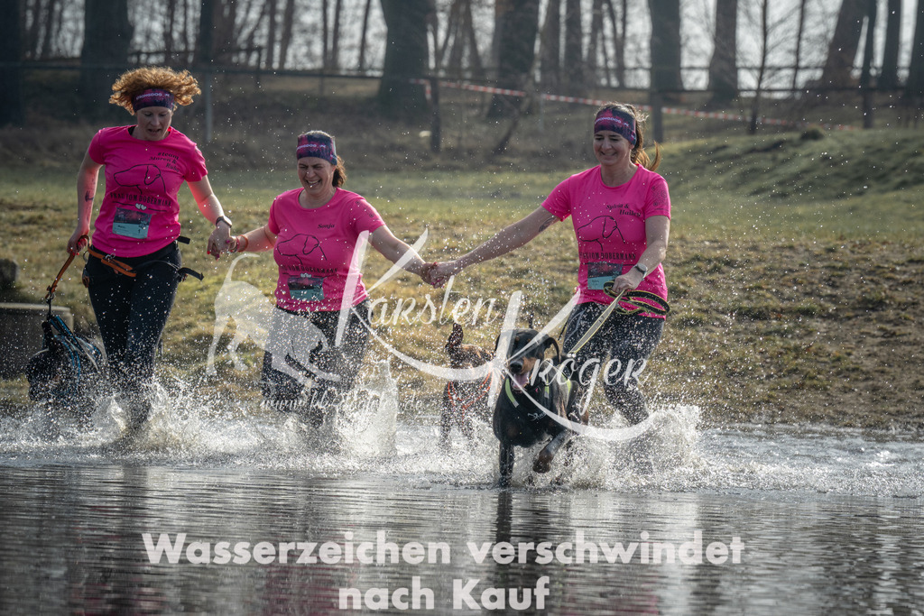 1027_ZZ97554 | kk-dogfotos