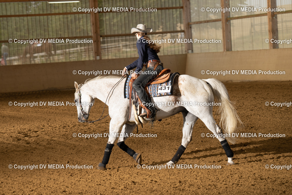 LAU01384 | dv-media-shop - Realisiert mit Pictrs.com