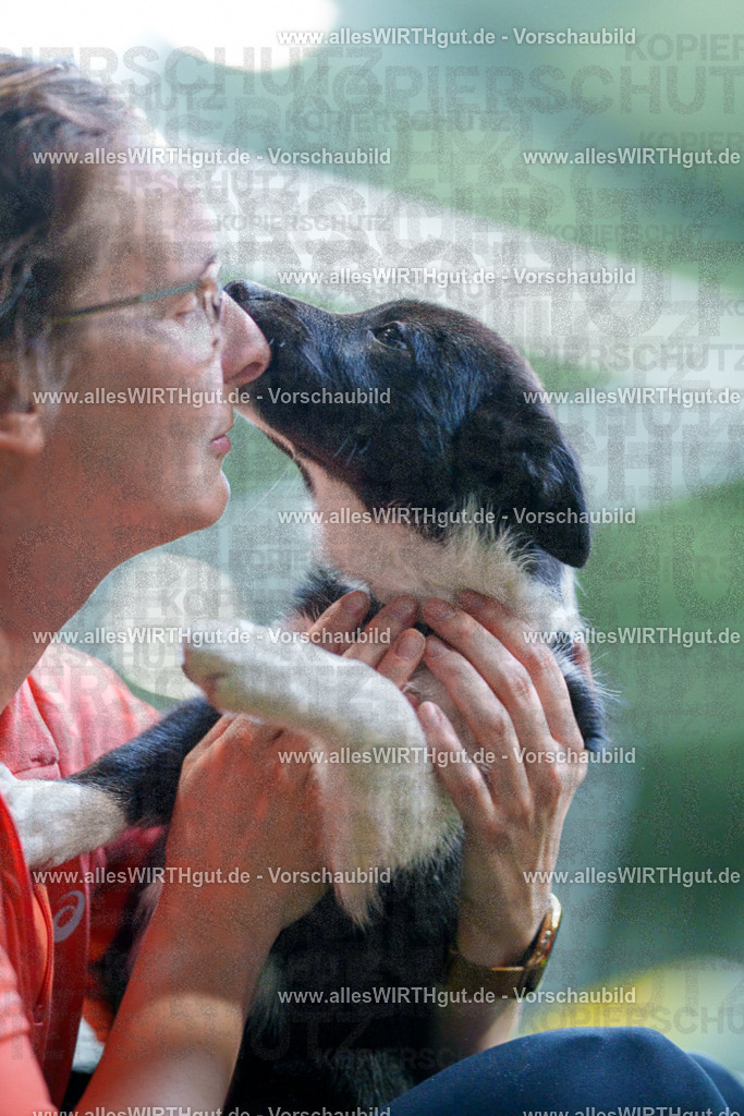 @allesWIRTHgut_Tierfotografie - www.allesWIRTHgut.de - 2604251314-7R503693 | Professionelle Tierfotografie in Mönchengladbach von Daniel Wirth (allesWIRTHgut). Liebevolle & natürliche Bilder von Hunden & Katzen für unvergessliche Erinnerungen.
